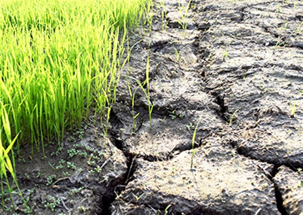 World Day to Combat Desertification and Drought